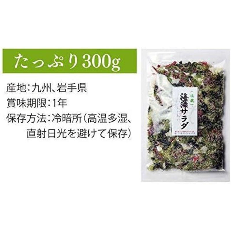 海藻問屋 海藻サラダ 塩蔵 300g 国産 チャック付 色物海藻とワカメ類 生のまま塩蔵