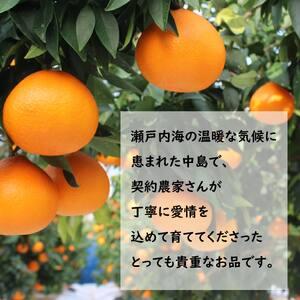 ふるさと納税 あいか 5kg 家庭用 あいか 蜜柑 あいか みかん あいか 愛媛 あいか 松山 あいか フルーツ あいか 果物 あいか くだもの あいか 5キ.. 愛媛県松山市