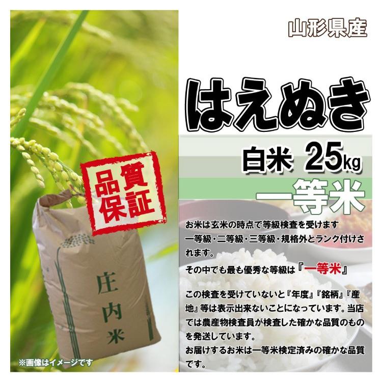 白米 25kg (5kg×5) 山形県産 はえぬき 米 お米 精米済 令和5年（送料無料）