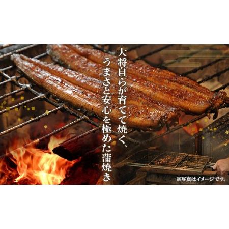 ふるさと納税 うなぎ屋きた本 うなぎ蒲焼き120g 3尾セット(無頭) un-0011 高知県香南市