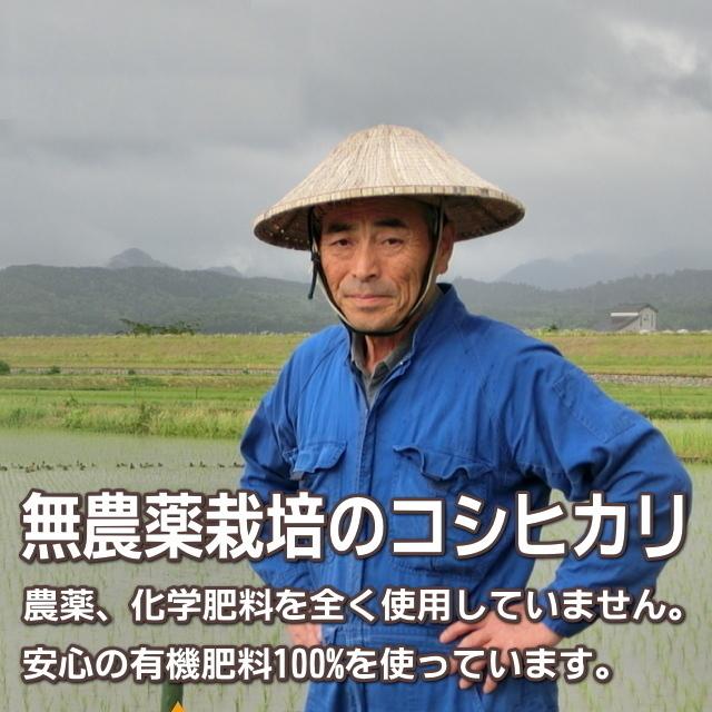 記念日 プレゼント お米 2kg 農薬不使用 希少米 コシヒカリ 無洗米 新潟米 産地直送 人気 おしゃれ お祝い 誕生日 退職 結婚記念 送料無料