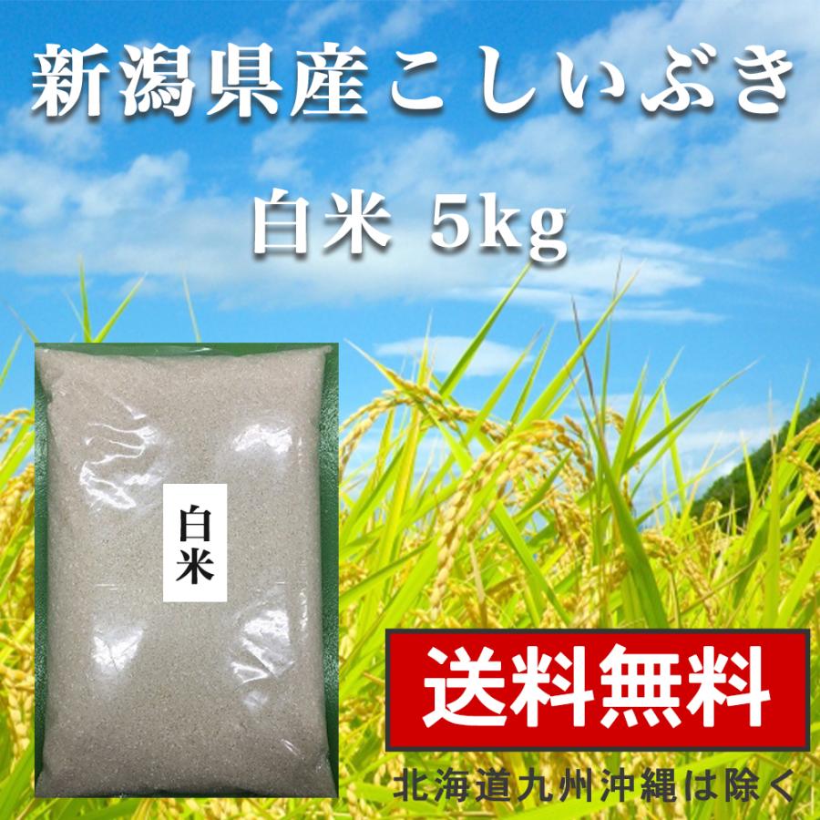 白米 5kg 送料無料 新潟県産 お米 こしいぶき