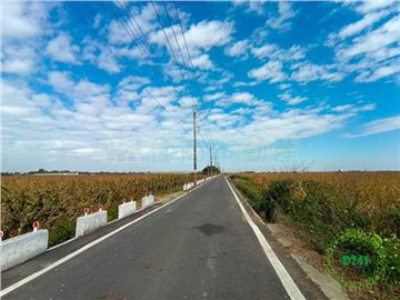 歸仁近市區一般肥沃一分農☎️賞屋290-6660｜台南市歸仁區保西段​