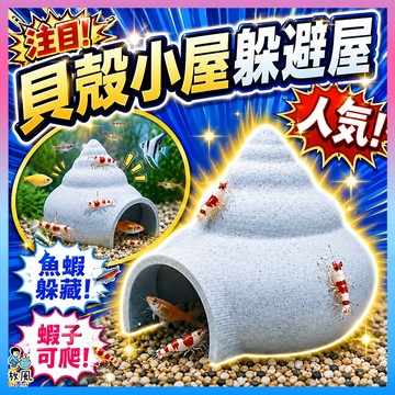 放風水族【貝殼小屋躲避屋】魚缸造景 陶瓷躲避屋 魚蝦躲藏屋 蝦屋 水族箱裝飾 造景擺件 水草缸佈景 小型魚躲避 水族造景