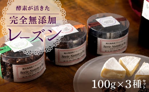 酵素が活きた完全無添加レーズン　100g×３種セット