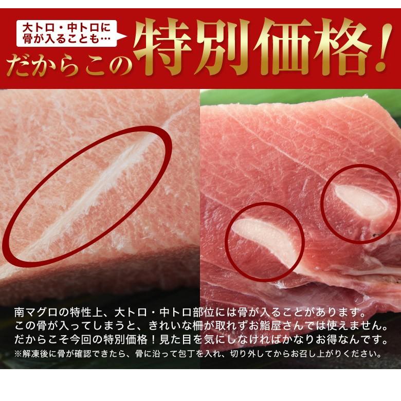 マグロ 鮪 まぐろ 天然南マグロ (インドマグロ) 大トロ・中トロ・赤身 合計1kg 鮨屋が使う上物をお届け！ 送料無料 ※冷凍