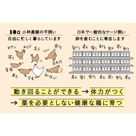 ふるさと納税 無投薬・自然養鶏の平飼い自然卵＜25個セット＞ 北海道厚真町