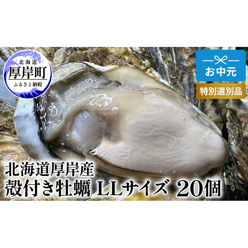 北海道 厚岸産 殻付き 牡蠣 LLサイズ 20個 お中元 特別選別品