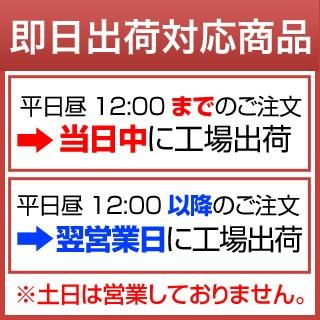 新米 令和5年(2023年)産  福井県産 いちほまれ 白米 10kg (2kg×5袋) 特A評価獲得