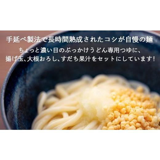 ふるさと納税 香川県 小豆島町 さぬき小豆島の冷凍ぶっかけうどん 8食セット