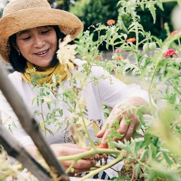 Miyazaki 日本今治短版圍巾 - 淺紫羅蘭