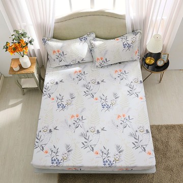 鴻宇 400織天絲 床包枕套組 阿米莉亞(單人/雙人/加大/特大)