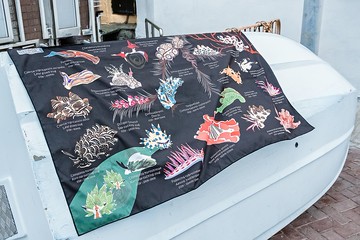 海蛞蝓快乾毛巾(黑色)