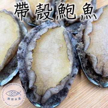 20粒帶殼鮑魚5包組(1KG/包)