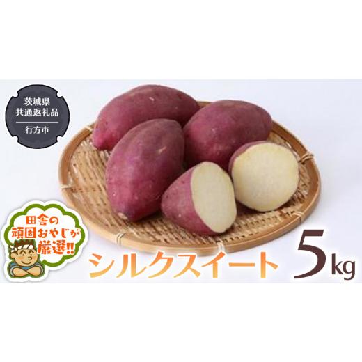 ふるさと納税 茨城県 つくばみらい市 シルクスイート 5kg （県内共通返礼品：行方市産） さつまいも シルクスイート 芋 いも 野菜