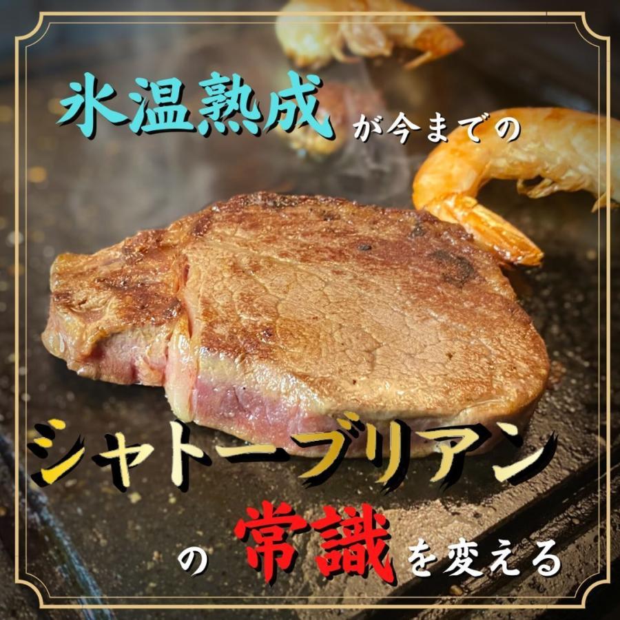 ギフト シャトーブリアン ×3 ヒレ ステーキ ×2 氷温熟成 国産 牛 焼肉 赤身 肉 セット 御歳暮 御年賀