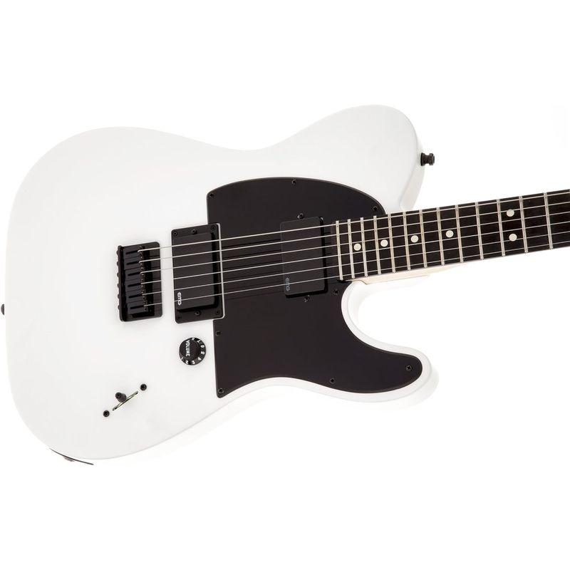 Fender フェンダー エレキギター JIM ROOT TELECASTER WHT