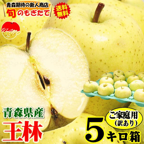 あすつく 青森 りんご 5kg箱 王林 送料無料 家庭用 訳あり 青森 リンゴ 訳あり 5キロ箱★王林 家訳 5kg箱