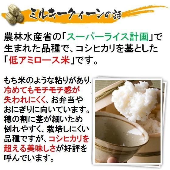 令和５年産岐阜県産 ミルキークイーン 玄米20Kg（10kg×2）精米サービス 沖縄 離島は追加送料