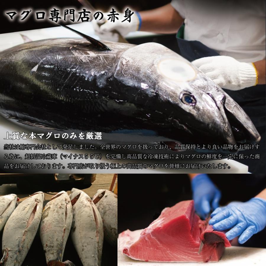 本マグロ マグロ 赤身 刺身 1キロ (12〜13人前) 本まぐろ 赤身 生食用 サク マグロ刺身 赤身 特上本鮪