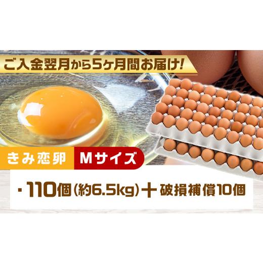 ふるさと納税 宮崎県 都城市 「きみ恋卵」110個定期便(5ヶ月)_T40（5）-2901_(都城市) 赤卵 きみ恋卵 Ｍサイズ 110個 約6.5kg