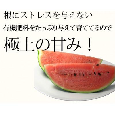 ふるさと納税 富良野市 2024年発送 ふらのスイカ 5kg以上 1玉