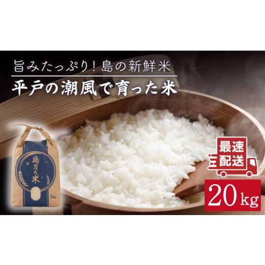 ふるさと納税 長崎県 平戸市 平戸の潮風で育った 米 20kg 平戸市 ／ 平戸瀬戸市場協同組合 [KAA156]