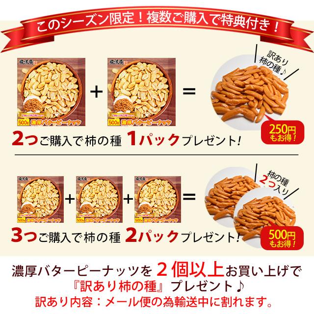 ピーナッツ セール オープン記念 濃厚バターピーナッツ 500g お得用パック paypay Tポイント消化 otumaminuts