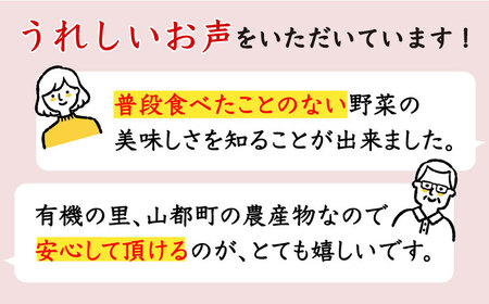 新米 有機米 2kg 旬の野菜 5種セット 詰め合わせ 野菜詰め合わせ 熊本県産有機野菜 山都町産有機野菜 産地直送 高原野菜 新鮮有機野菜 採れたて有機野菜 旬 有機野菜セット 有機野菜食べ比べ 九州産有機野菜 有機野菜 オーガニック[YAF007]