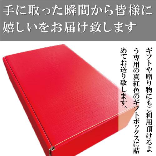 お取り寄せグルメ　お中元　ギフト　世界三大料理トルコの味を知り尽くしたオーナーシェフが贈るオードブルパーティーセット