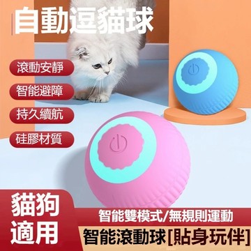 🔥隔日達+寵物之家🐱 寵物玩具球 逗貓球 智能逗貓球 智能跳跳球 寵物跳跳球 狗狗耐咬玩具球 彈力球 磨牙玩具球 狗玩具