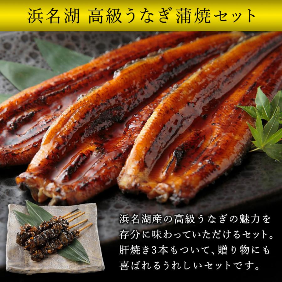 魚魚一 浜名湖産 うなぎ 蒲焼セット とといち  丑の日 土用の丑 贈り物 グルメ 送料無料 60代 70代   2023 プレゼント お歳暮 ギフト