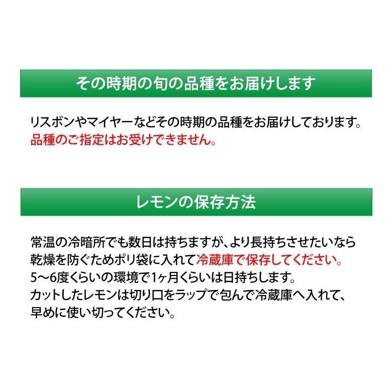 レモン 国産レモン 送料無料 2kg S〜L 3箱購入で1箱おまけ 熊本県産 減農薬 防腐剤ワックス不使用 れもん グリーンレモン 国産