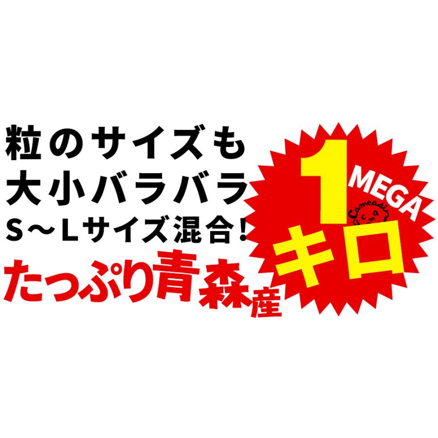 にんにく 青森県産 訳あり 1kg バラ詰め 送料無料 2023年度産 [産地直送のため他商品と同梱不可]