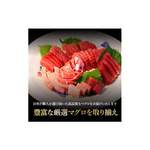 ふるさと納税 高知県 土佐市 天然本鮪　大トロ・中トロ　各500ｇ・赤身200ｇ　まぐろ3種盛セット