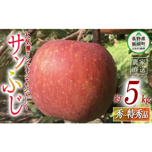 ふるさと納税 長野県 飯綱町 りんご サンふじ 秀 〜 特秀 5kg 丸西農園 沖縄県配送不可 2023年12月中旬頃から2024年1月上旬頃まで順次発送予定 令和5年度収穫…