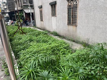 信義區台北101建地｜台北市信義區三興段三小段