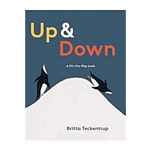 Up  Down: A Lift-The-Flap Book (Hardcover)