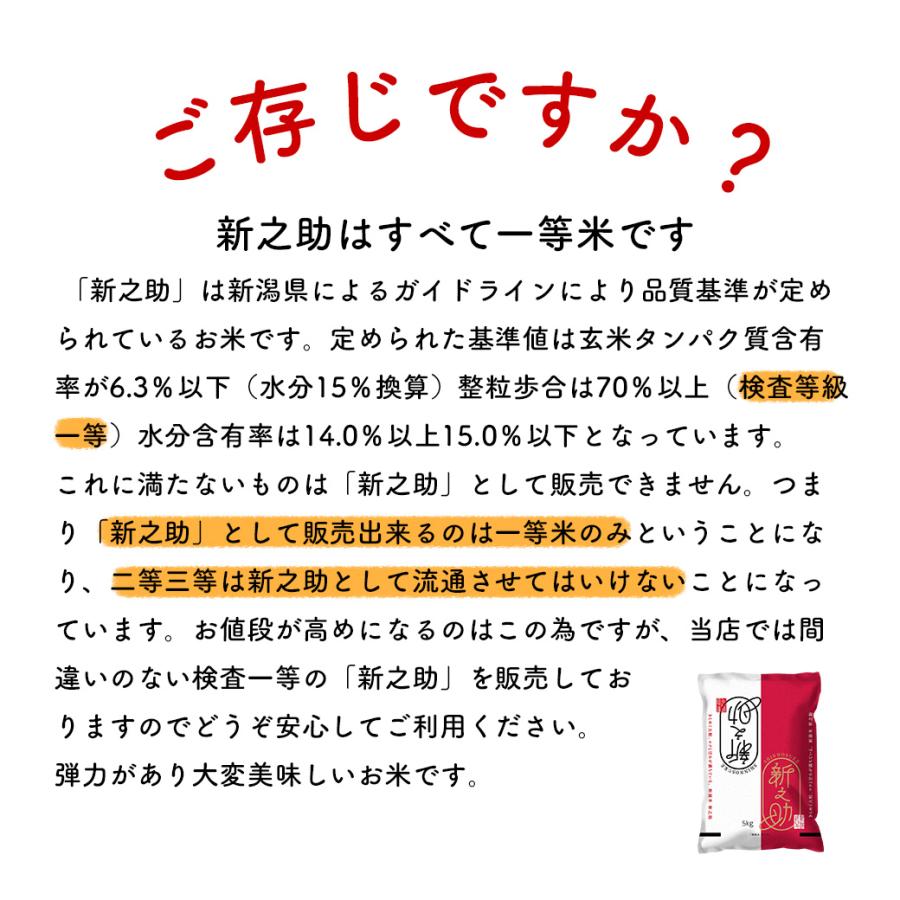 新米 20kg 新之助 お米 20キロ 令和5年産 新潟県産 一等米 しんのすけ 送料無料 白米 産直 精米 5kgx4袋