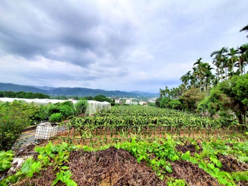 ★栓★快樂農場價可談★南投竹山延平國小旁千坪農地｜南投縣竹山鎮延正段
