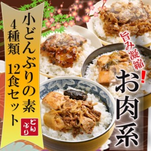 小どんぶりの素 お肉系 4種類12食詰め合わせセット 丼の素 レトルト無添加おかず 和食惣菜