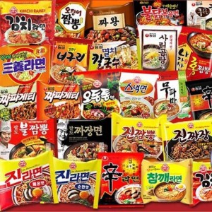 韓国ラーメン　おすすめ２０個セット（ランダムで全部違う味）＋韓国ラーメン皿１個