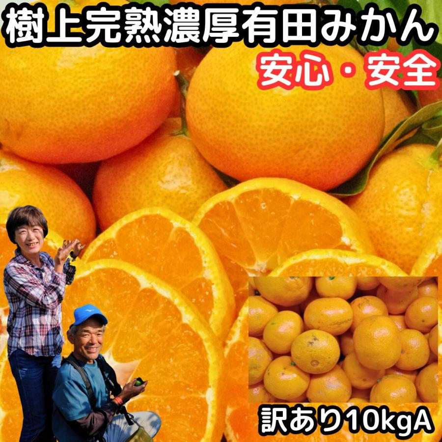 みかん 有田 訳あり 甘い 糖度 送料無料 和歌山 有田柑橘さんさん 樹上完熟 わけあり A品 早生 有田みかん 10kg 2l〜ss 家庭用 箱 買い ありたみかん 有田ミカン