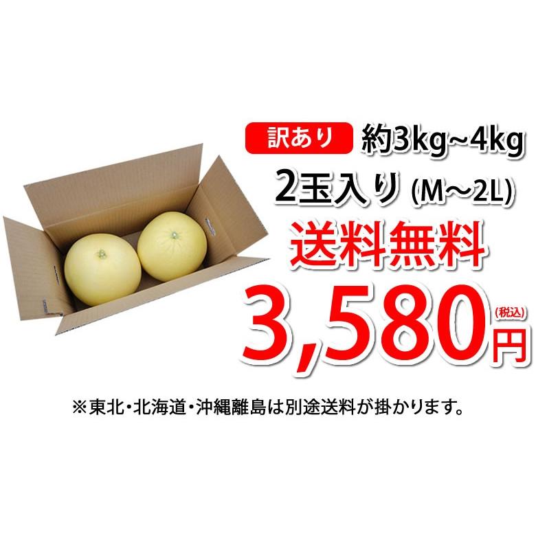 晩白柚 みかん ばんぺいゆ 訳あり 送料無料 約3kg〜4kg 2玉入 M〜2Lサイズ 世界最大級の柑橘 熊本県八代産 蜜柑 ミカン