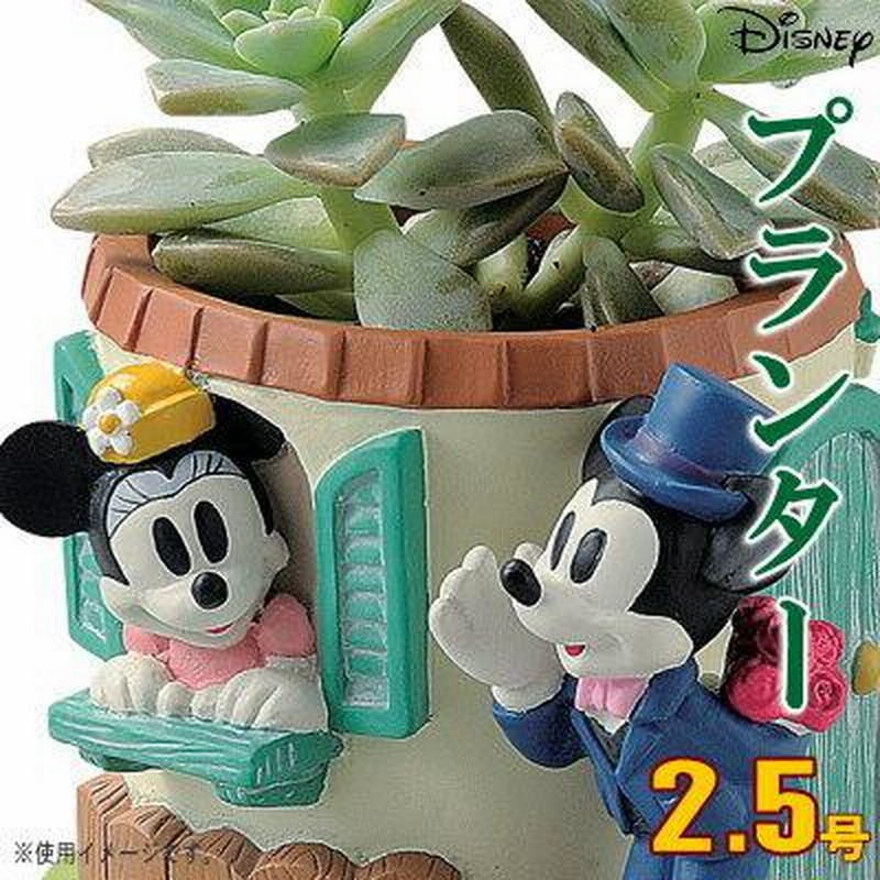 ガーデニング　ミッキー　ミニー　セット ガーデニングミッキーミニーセット