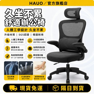HAUO🏆全新升級 人體工學椅🏆書桌椅 電腦椅 辦公椅 電競椅 35°逍遙 躺椅 太空椅 摇摇椅 網椅 坐姿矯正 午休椅