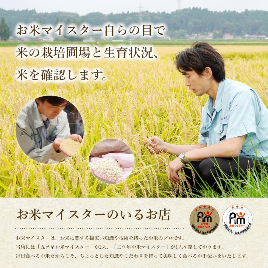 どんぴしゃり 米 5kg 無洗米 岩手県産