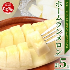 熊本県産 ホームランメロン 5玉 約5kg