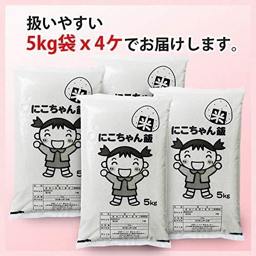  白米 20kg (5kg×4袋) にこちゃん飯 国内産100％