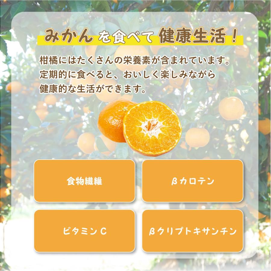 旬のみかん1月詰め合せセット 旬のフルーツ 3種(2kgずつ)計約6kg みかん 柑橘類 はれひめ ポンカン 伊予柑
